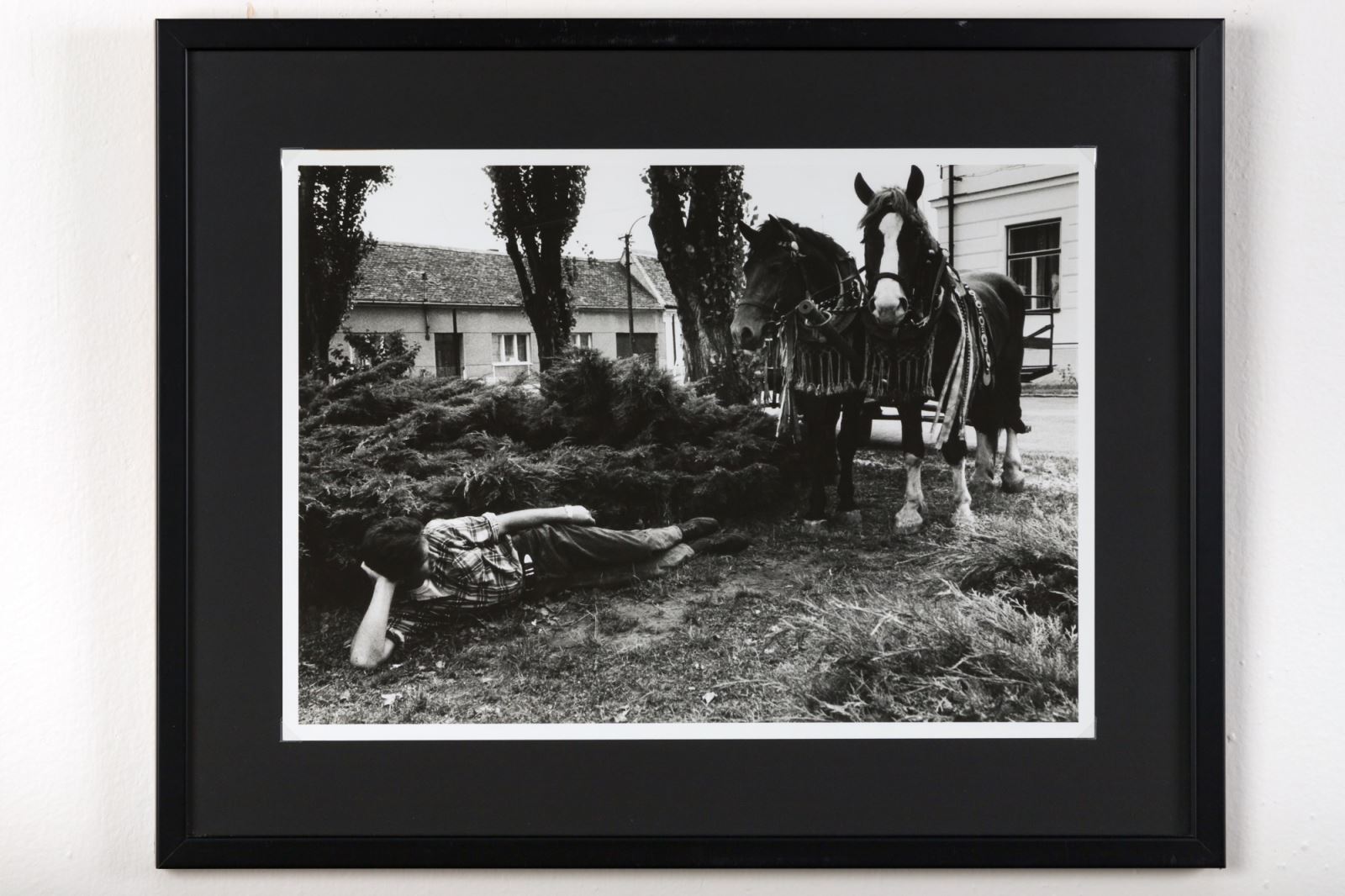 Jindřich Štreit, Mikulovsko IXX, 1994