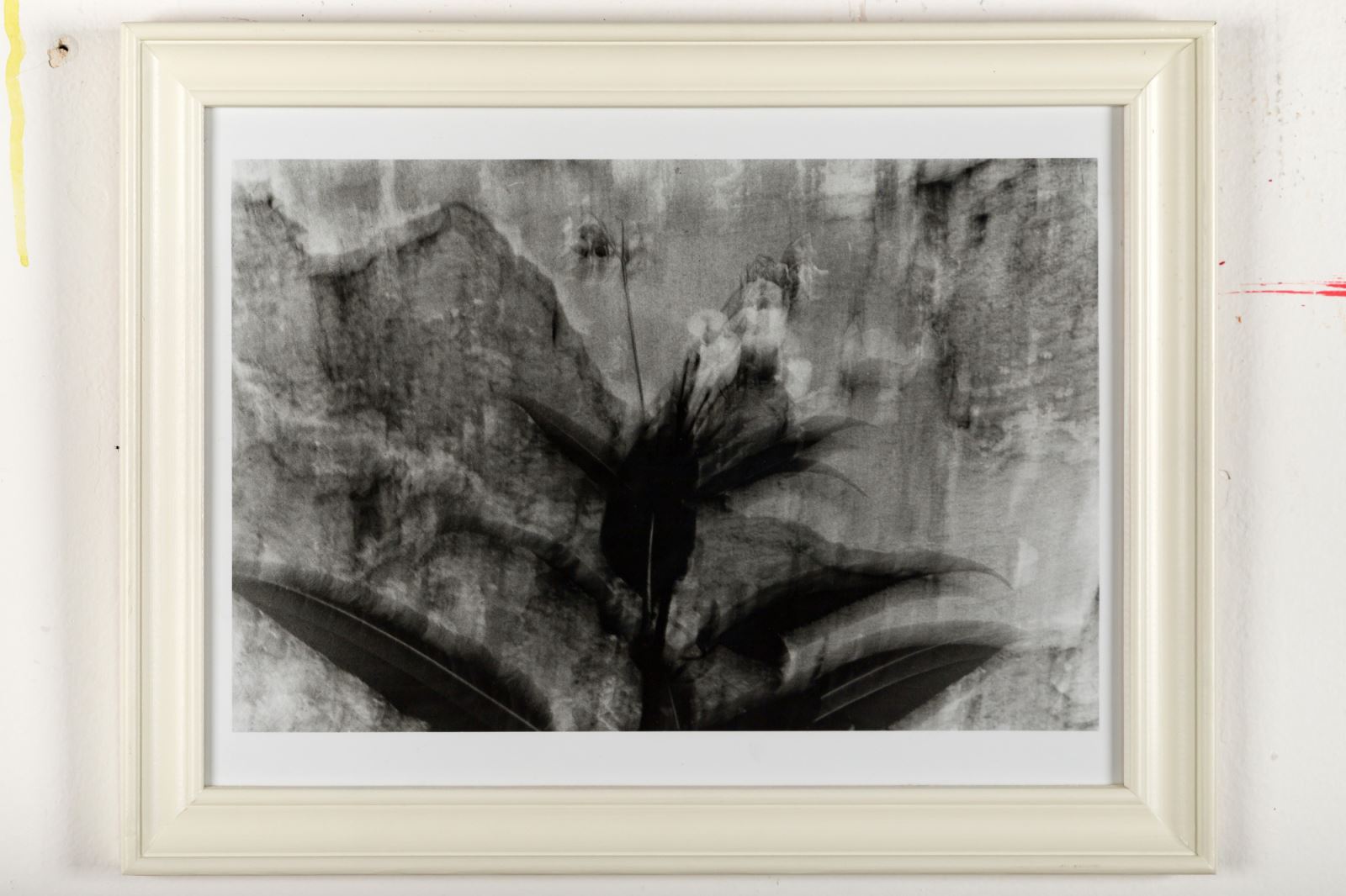 Machiel Botman, Bez názvu II, 2007