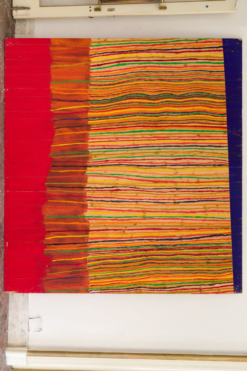 Martina Riedlbauchová, Od červené k modré, 1996