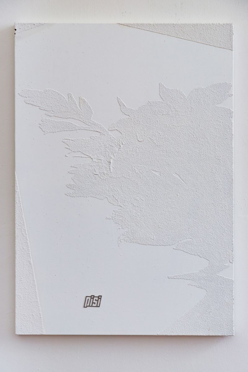 Petr Písařík, AHA Adba, 2010